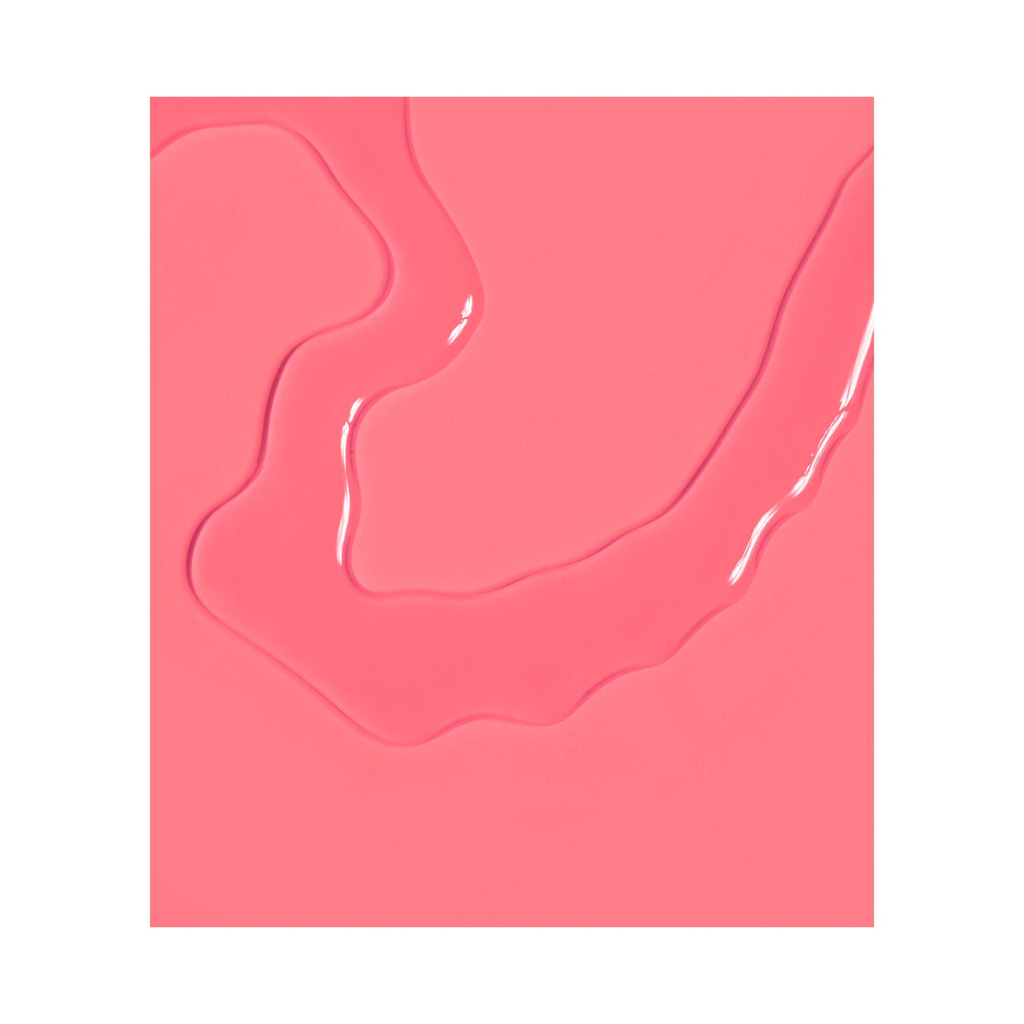 Miss Rose Primer