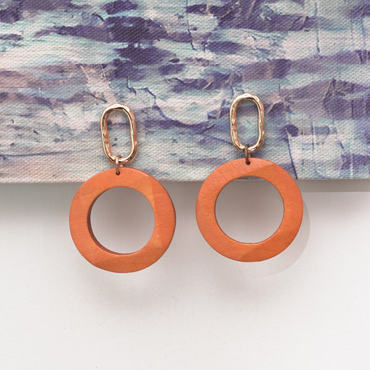 Unique elegant earrings